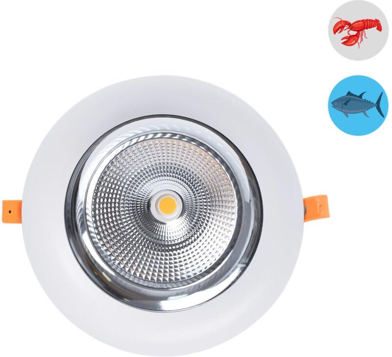 Thumbnail - Barcelona Led - LED-Downlight speziell für Fischereien - 40W - Philips-Treiber -