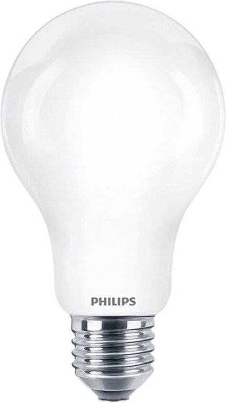 Glühbirne de Glühfaden matt 200 w A95 E27 - Philips