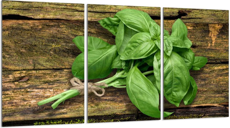 Glasschutzplatte für Herd 3x30x52