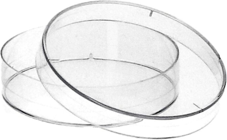 Kunststoff-Petrischalen PS 55 x 14 mm belüftet 15 Stk. steril - BIOSPACE