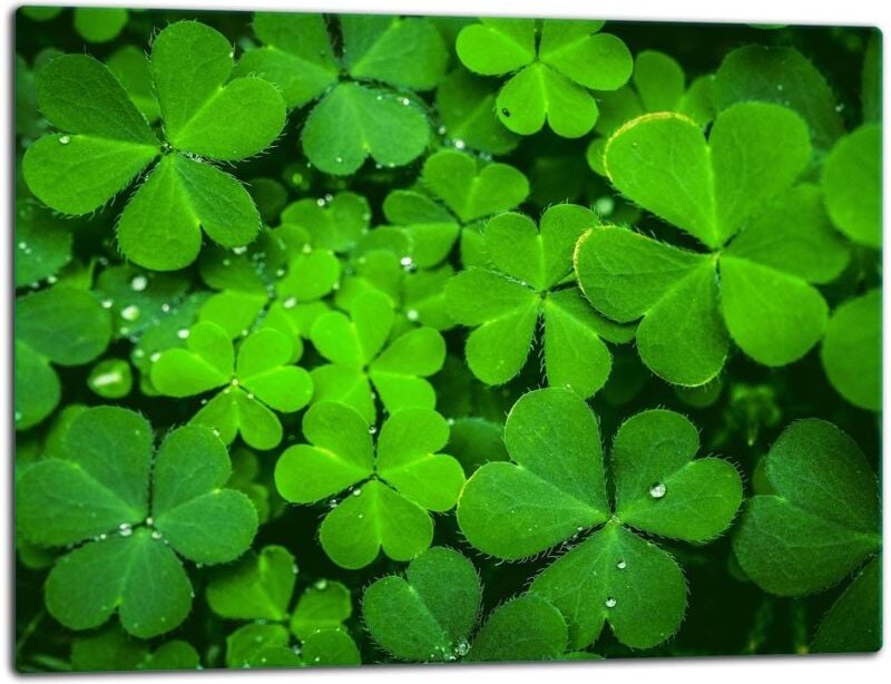 GlassplattenschneideBrett 52x40 Grün