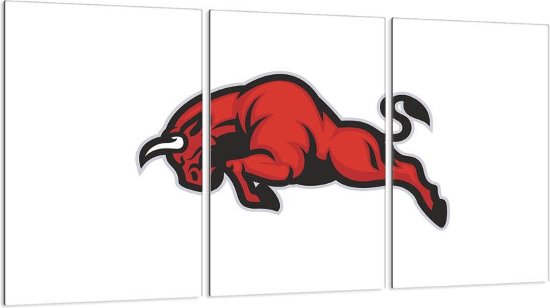 Glasschutzplatte für Herd 3x30x52