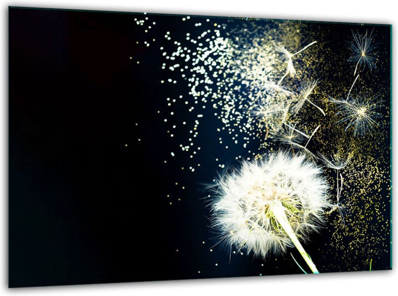 GlasscheideBrett MIT 30 x 22 Blume Temperatur