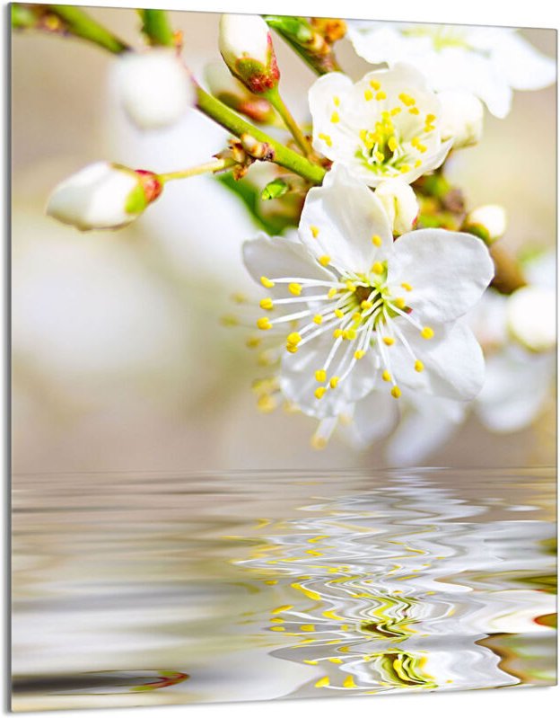 Glasschneidebrett 40x52 Pflaume