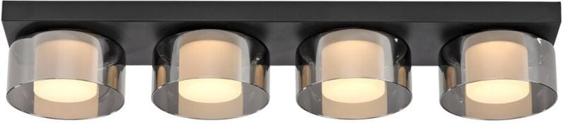 Paul Neuhaus Rika Integrierte LED-Halbdeckenleuchte Schwarz 4x 6W LED 3000K Dimmbar