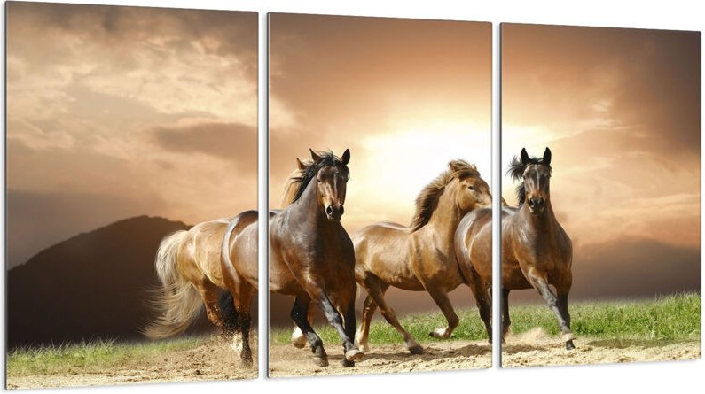 Glasschutzplatte für Herd 3x30x52