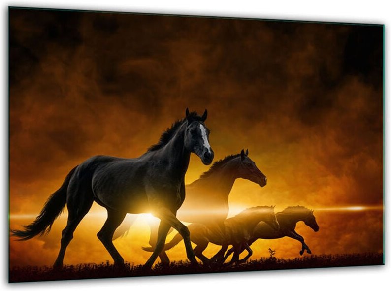 Glashakkungsbrett Temperatur 30 x 22 Pferde