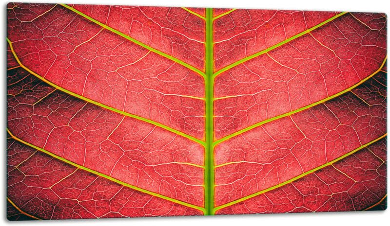 Glasschild Schneidebrett 52x30 Blume