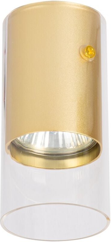 Ricky Downlight Gold 1xGU10