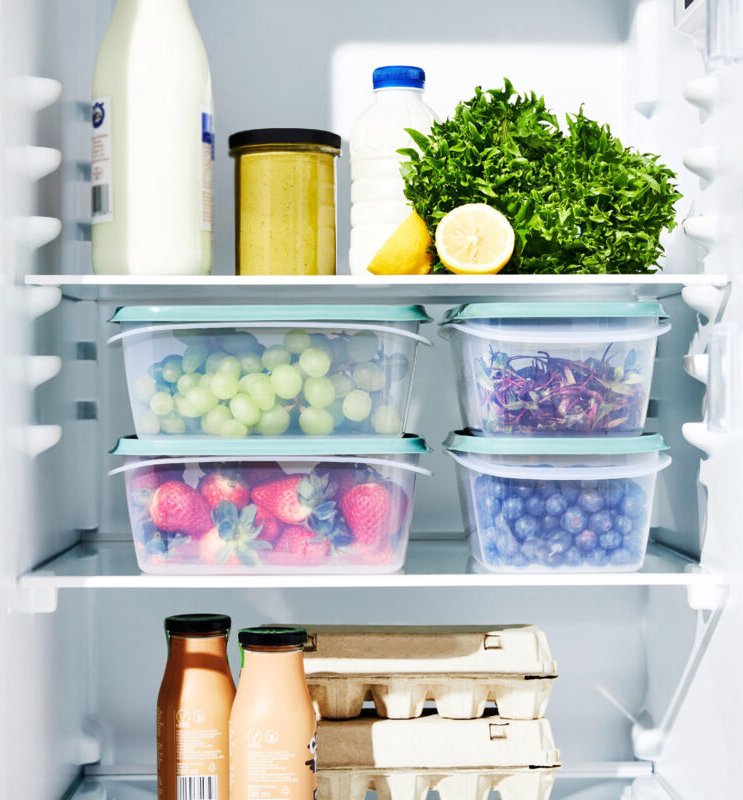 Rotho Kühlschrankdose Elements 2 L mistletoe grün