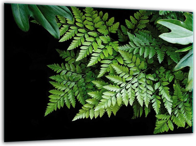 Glashackbrett MIT 30 x 22 Blätterntemperatur