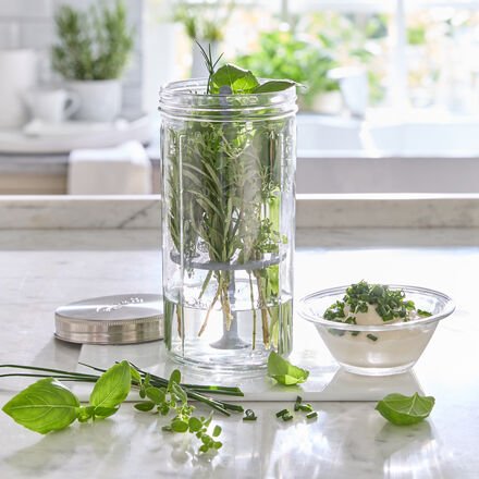 Kilner Kräuterglas - Kräuteraufbewahrung für frische Kräuter, hält bis zu 3 Wochen frisch, mit Silikonhalterung, spülmas...