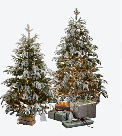 Weihnachtsbaum, Ø 122cm, 180 cm hoch