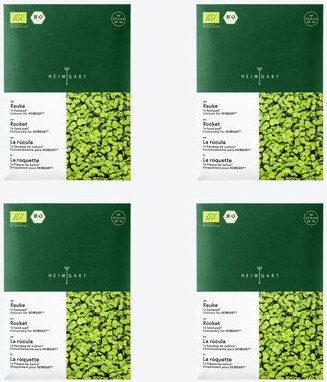 Microgreens Saatpads Rauke, 4 Stück, DE-ÖKO-070