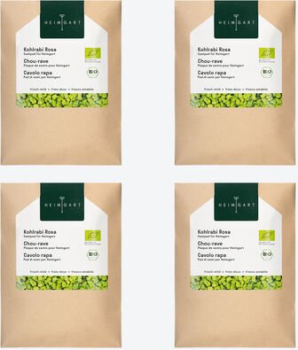 Microgreens Saatpads Kohlrabi, 4 Stück, DE-ÖKO-070