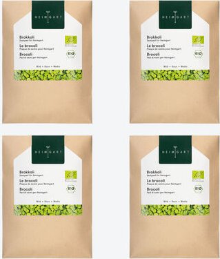 Bio Microgreens Brokkoli - 4 Saatpads, plastikfrei & kompostierbar, erntereif in 5-7 Tagen, ohne Erde, reich an Sulforap...
