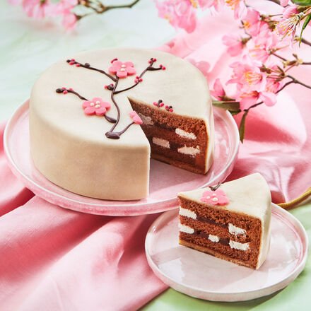 Hagen Grote Torte Schwarzwälder Art 600 g - feinste Konditorqualität, Ø 15,5 cm