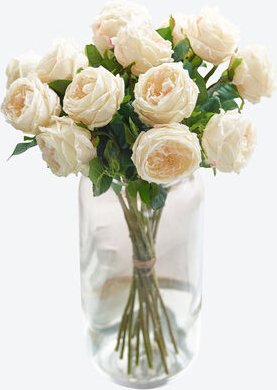 Klassischer Rosenstrauß, creme, 15 langstielige Rosen