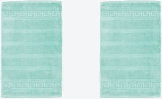 2er-Set Frottee Gästetuch 30 x 50 cm Mäander Hellgrün, 100 % Baumwolle, 554 g/m², OEKO-TEX® STANDARD 100, Maschinenwäsch...