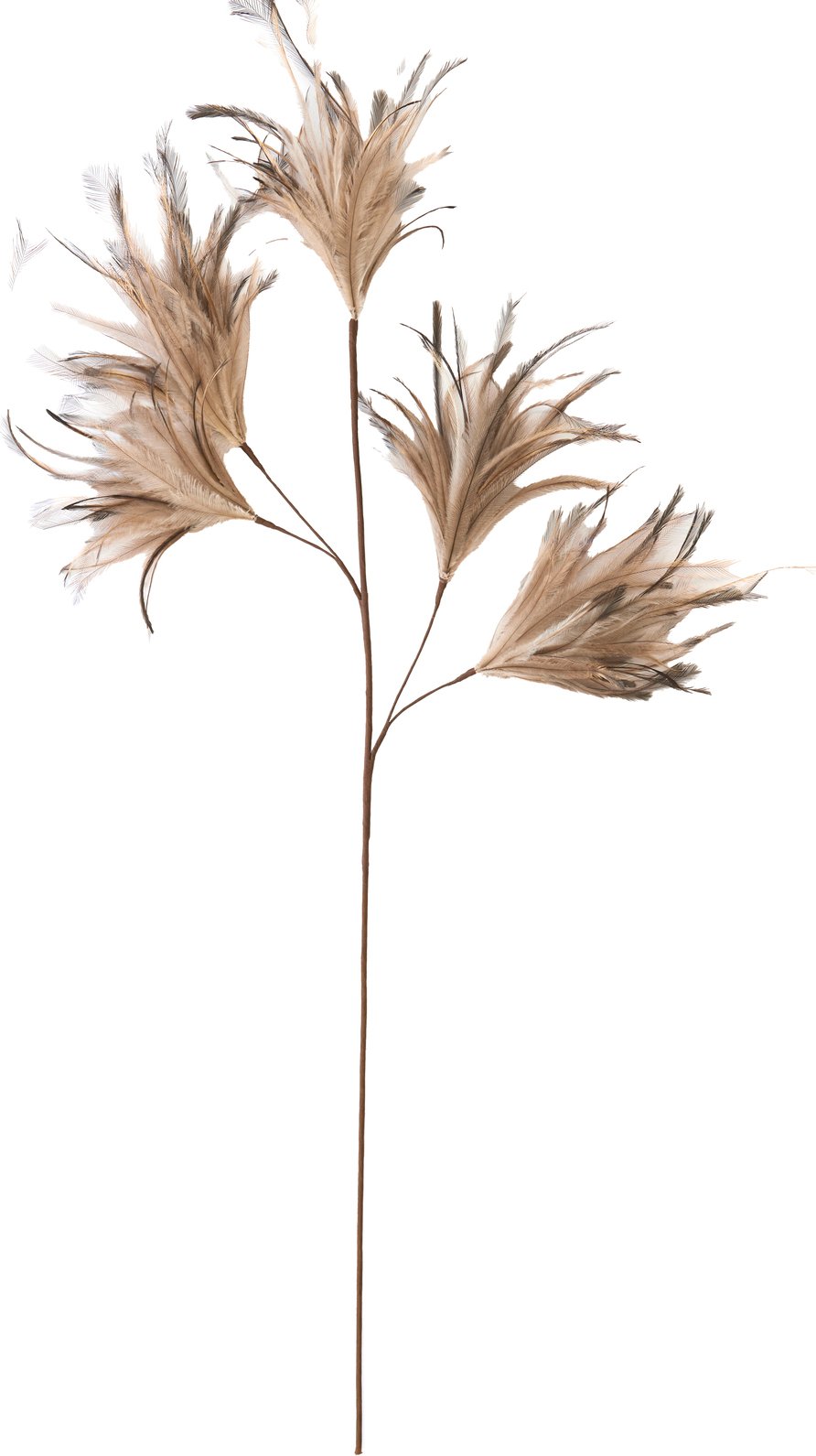 Light&Living Ornament FEATHER, Federn