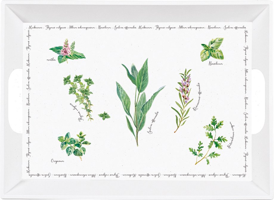 Zurbrüggen Tablett 51x38 HERBARIU, Melamin