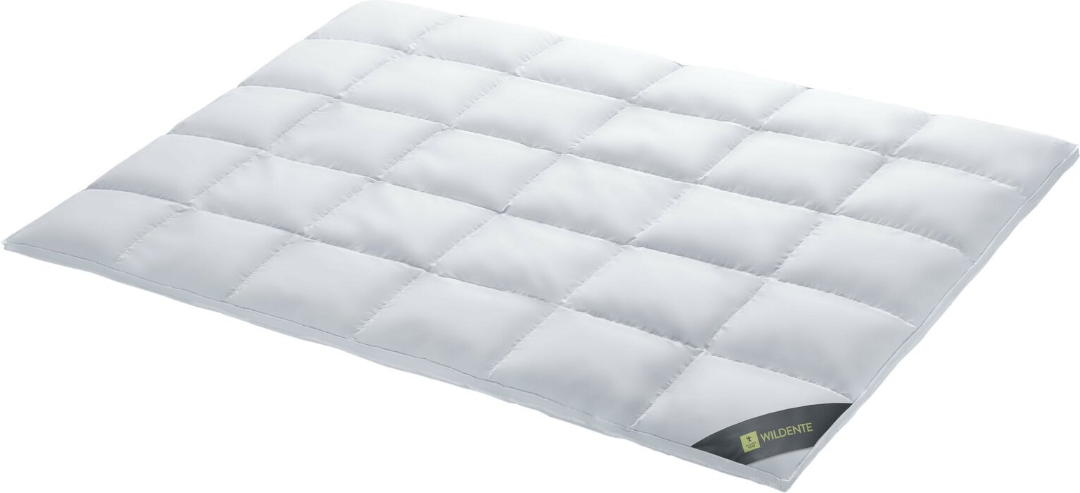 Spessarttraum Duodecke WILDENTE