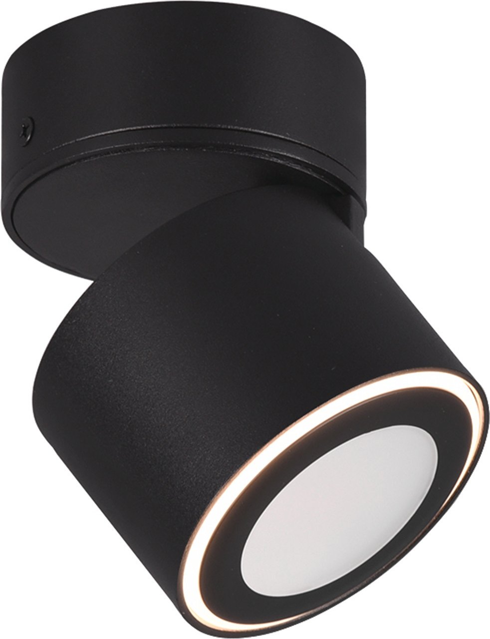 Trio Leuchten LED-Ein/ausbauspot TAURUS, Metall