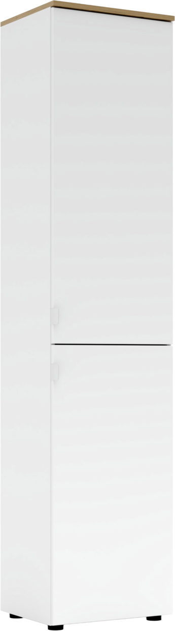 Voleo Aktenschrank DIANA, Holznachbildung