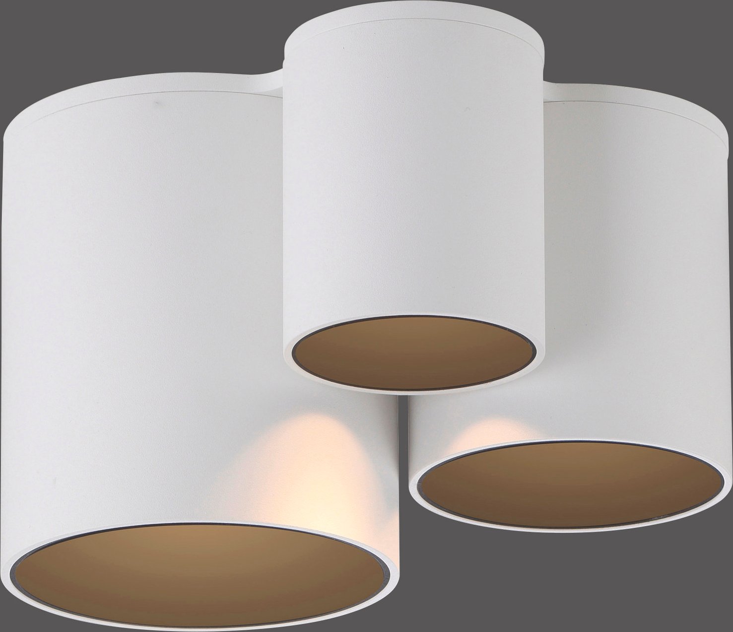 Neuhaus Pure LED-Deckenleuchte PURE POINT