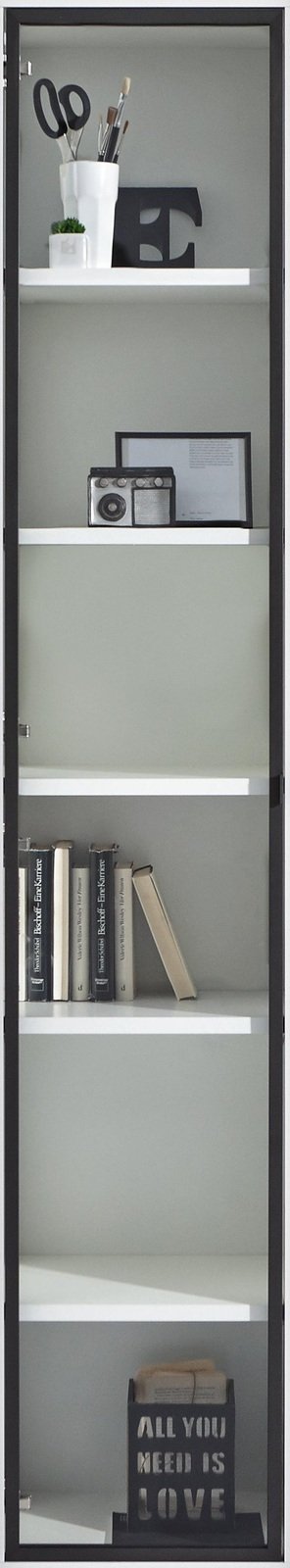 XORA Glastür DIVINO, Metall