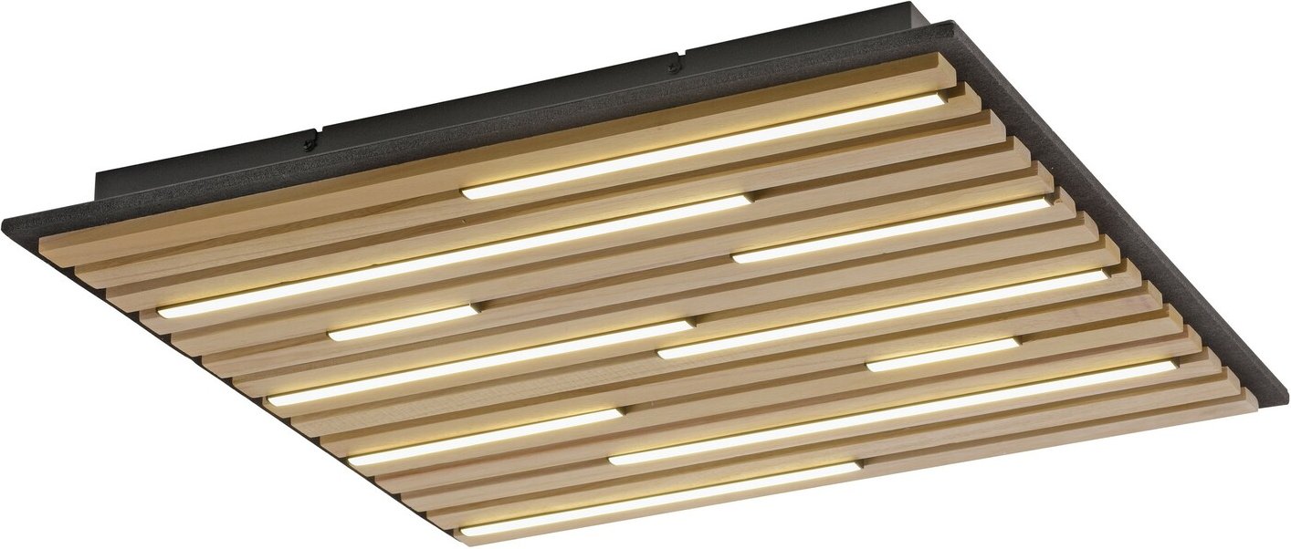 Paul Neuhaus Wand- und Deckenleuchte Q-AKUS Q-AKUSTIK, Holz