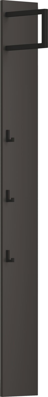 Dieter Knoll Garderobenpaneel schmal TURIN, anthrazit, MDF