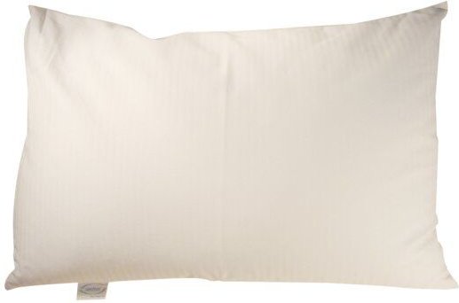 Speltex Reisekissen mit Seegras und Kautschuk