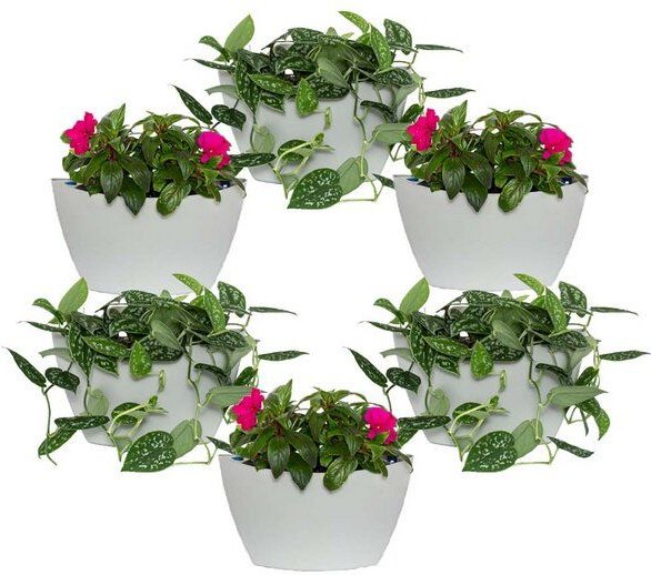 CitySens 6er-Pack Wand-Blumentopf