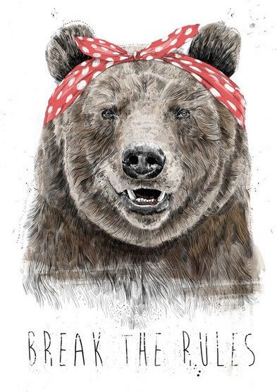 Photocircle Poster / Leinwandbild - Break the rules