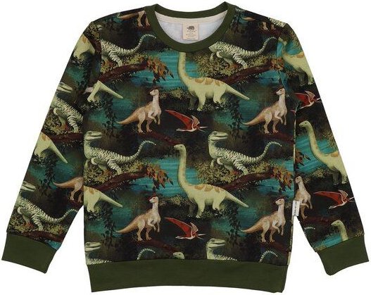 Dinasour Jungle-SweatshirtBio-Baumwolle aus 95% Baumwolle -green- GOTS-Zertifiziert – Walkiddy