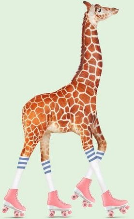 Photocircle Wandbild / Kunstdruck / Poster / Leinwand - Rollschuh Giraffe