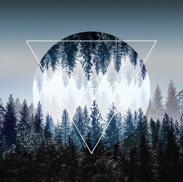 Photocircle Poster / Leinwandbild - Woods 4