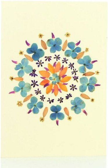 GLOBO Fair Trade Grußkarte Wildblumen VEILCHENTANZ