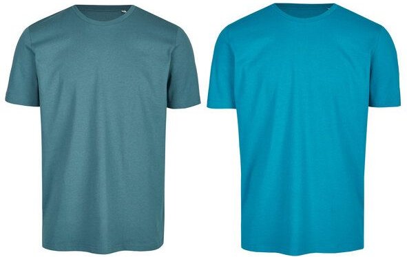 Brandless Basic Bio T-Shirt (Men Nr.3 ) Doublepack GOTS