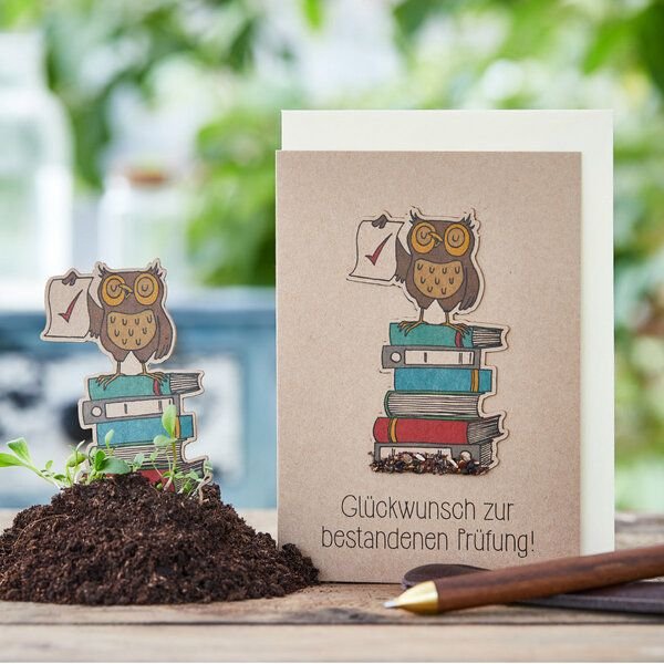 Die Stadtgärtner Glückwunsch zur bestandenen Prüfung | Grußkarte mit Wildblumensamen