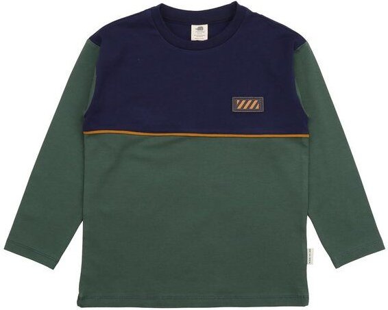 Kinder Langarmshirt GOTS-zertifiziert aus Bio-Baumwolle, Farbblock-Design dunkelblau/grün mit kleinem Motiv – Walkiddy, ...