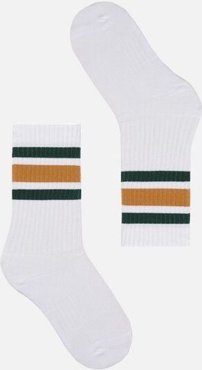 Socken aus Bio-Baumwoll Mix - BERGENIA STRIPES - recolution
