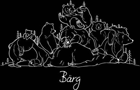 GARY MASH T-Shirt Bärg aus Biobaumwolle