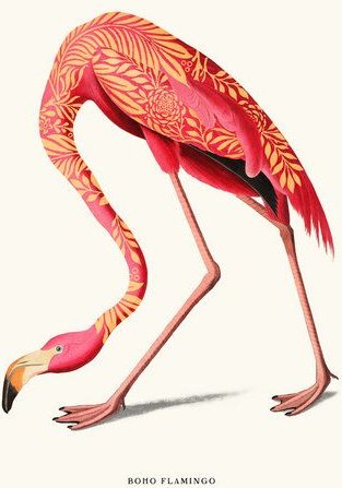 Photocircle Wandbild / Kunstdruck / Poster / Leinwand - Boho Flamingo