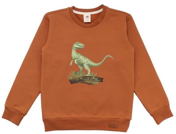 Kinder Sweatshirt GOTS zertifiziert, braun, Dino-Print, weich & elastisch – Walkiddy