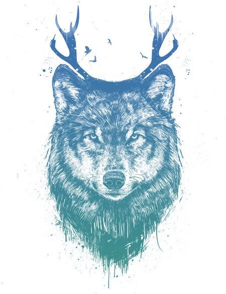 Photocircle Poster / Leinwandbild - Deer wolf