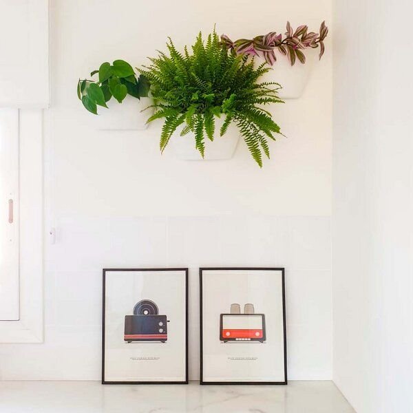 CitySens 3er-Pack Wand-Blumentopf mit automatischer Bewässerung