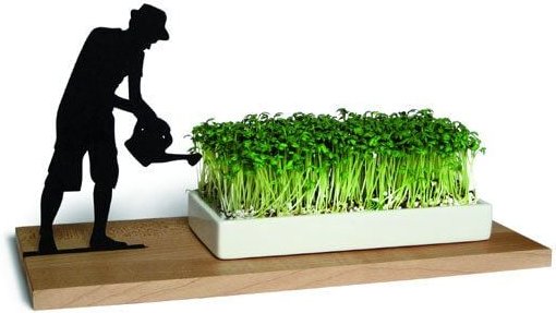 Side by Side Kresseschale Gärtner