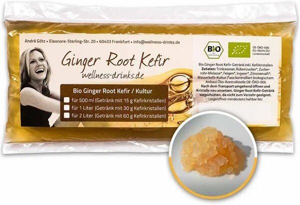 Wellness-Drinks Bio Ginger Root Kefir Drink mit Japankristallen (groß)